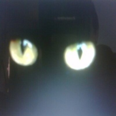 Profile Picture of Latoya Raymond (@LatoyaRaymond6) on Twitter