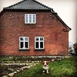 Cat & Madsen - Instagram Profile Picture of Cat & Madsen (@skoleniraasted) on Instagram