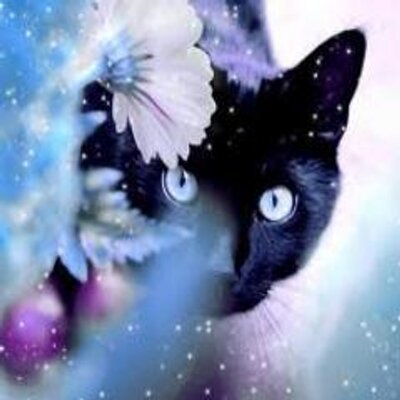 Profile Picture of Jodi Ann Williams (@JodiAnnWilliam4) on Twitter