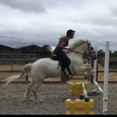Profile Picture of Katie Hawkes (@KatieHawkes9) on Twitter