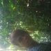 Profile Picture of Darwin Ancoree (@darwin.ancoree) on Facebook