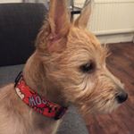 Profile Picture of Mavis Avis Dyer-Davies (@mavisavis_bt) on Instagram