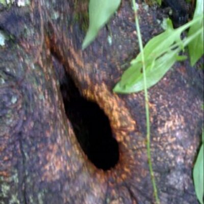 Profile Picture of Scott Larkin (@scottmlark) on Twitter