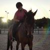 Profile Picture of Amy van der Hoek (@@avdhoek02) on Tiktok