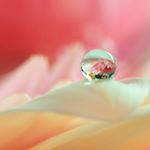 Profile Picture of Jayanthi Mani (@jayanthi.mani.7739) on Instagram