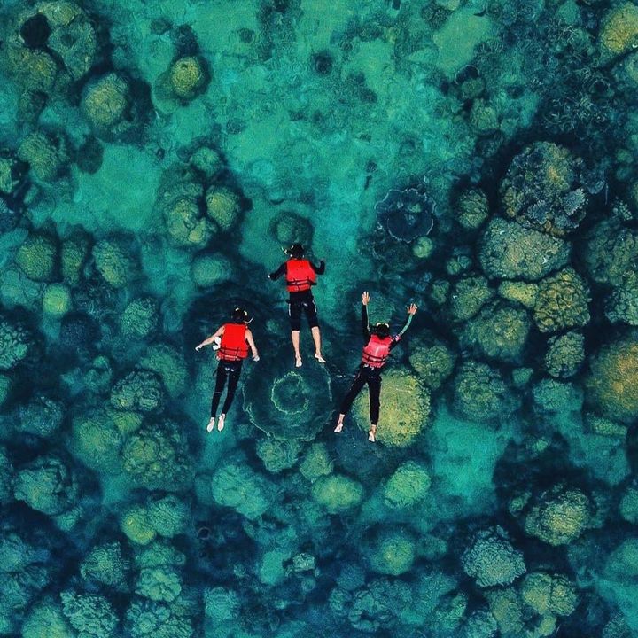 Profile Picture of normantino🫡 (@normantino_coway) on Tiktok