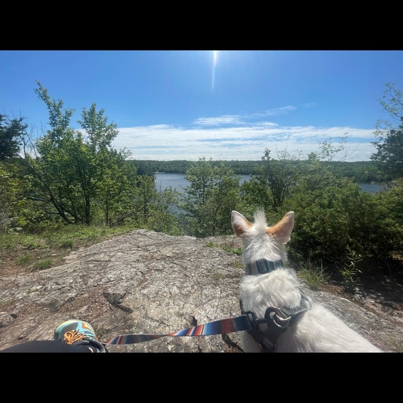 Profile Picture of Mistralle Brouillard (@broufrank) on Poshmark