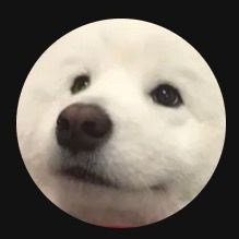 Profile Picture of daniel.gesicki (@daniel.gesicki6) on Tiktok