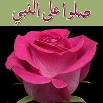 Profile Picture of Mohamed Latif (@mohamedlatif67) on Twitter