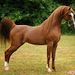 Profile Picture of cesar ambriz (@cesarambriz438) on Pinterest