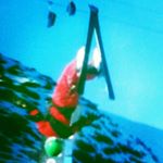 Profile Picture of David Sachsenmaier (@ski_saxe) on Instagram