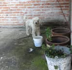 Profile Picture of Rocio Becerril (@rocio.becerril.381097) on Facebook