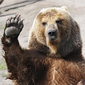 Profile Picture of Giacomo Tirabassi (@jackbauli) on Youtube