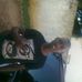 Profile Picture of Robert M Habwacha (@robertm.habwacha) on Facebook