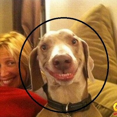 Matthew Monteiro Da - Twitter Profile Picture of Matthew Monteiro Da (@DaExtreme2013) on Twitter