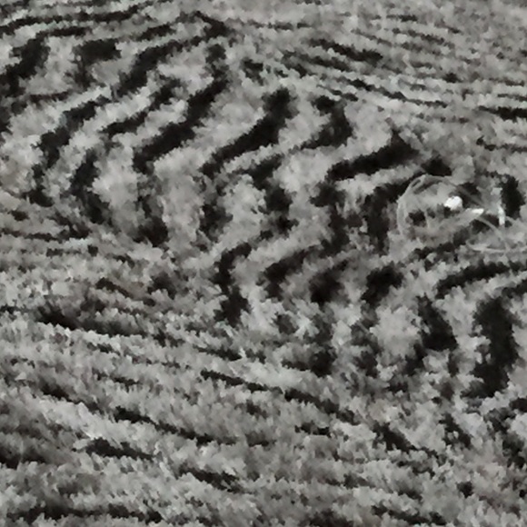 Profile Picture of Collin Prestia (@collin4545) on Poshmark