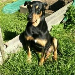 Profile Picture of Patrick Ruszkiewicz (@patrick.ruszkiewicz.7) on Facebook