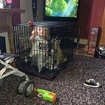 Profile Picture of Jamie Rails McCormack (@jamie.mccormack.7) on Instagram