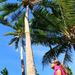 Profile Picture of Kyle Berge (@kyleeberge) on Pinterest