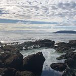 Profile Picture of Claire (@claire.engineering.chemistry) on Instagram