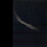 Profile Picture of constanceolson4 (@constanceolson4) on Instagram