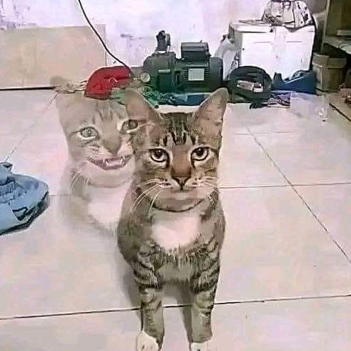 Profile Picture of brad music (@cavooffsell) on Tiktok