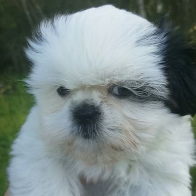 Profile Picture of Got Donuts (@RyanRobinette2) on Twitter