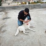 Profile Picture of Tony (@tony_mouawad) on Instagram