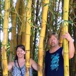 Profile Picture of Mike Willemsen (@willemsenmike) on Instagram