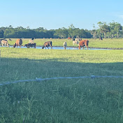 Kyle Barnhart - Youtube Profile Picture of Kyle Barnhart (@kylebarnhart3056) on Youtube