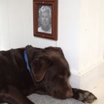 Profile Picture of Peter Metcalfe (@petermetcalfe) on Instagram
