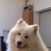 Profile Picture of Marc Humbert (@marc.humbert.79677) on Facebook