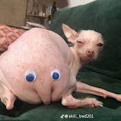 Profile Picture of James Latimer (@jameslatimer7281) on Youtube