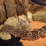 Profile Picture of Alejo Ortiz (@ortizalejo) on Flickr