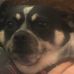 Profile Picture of Micah Schaffer (@micah.schaffer.75) on Facebook