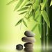 Profile Picture of Vivian Dulay (@readwithmev) on Pinterest