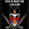 Profile Picture of David Jokic (@@davidjokic1) on Tiktok