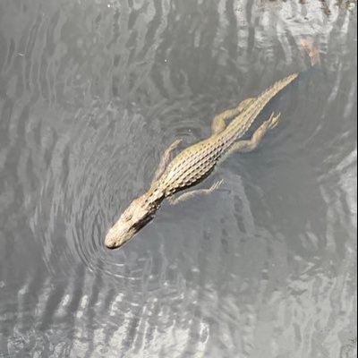 Profile Picture of Chris McChesney (@cmcchesney82) on Twitter