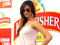Profile Picture of Kingfisher Calendar - Wikipediaon Wikipedia