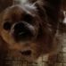 Profile Picture of Rose Pascone (@rose.pascone.9) on Facebook