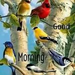 Profile Picture of Mithu John (@mithu.john.528) on Instagram