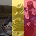 Profile Picture of Carl Howarth (@carl.howarth.56) on Facebook