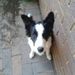 Profile Picture of Eugene Vandenberg (@eugene12vandenb) on Pinterest