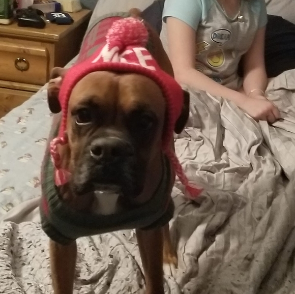 Profile Picture of Steve Makins (@stevemakins) on Poshmark