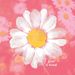 Profile Picture of Maureen McGee (@emd270) on Pinterest