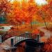Profile Picture of Louise Lariviere (@louise_et_pascal) on Pinterest