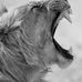 Profile Picture of David Eppley (@david.eppley.54) on Facebook
