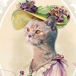 Profile Picture of 𝓙𝓾𝓵𝓲𝓪 (@madam_butterscotch) on Instagram