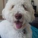 Profile Picture of Samantha Clingerman (@sammyclingzz) on Pinterest