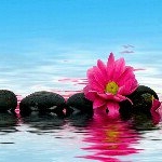 Profile Picture of Sherrie Horton (@heart__to__heart) on Instagram